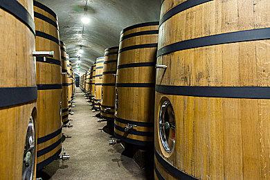 2022暑期高能电玩节：《足球但大乱斗》即将推出简体中文！